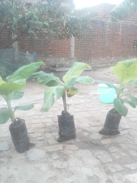 WhatsApp Image 2024-04-25 at 12.56.37_d3abb6b1