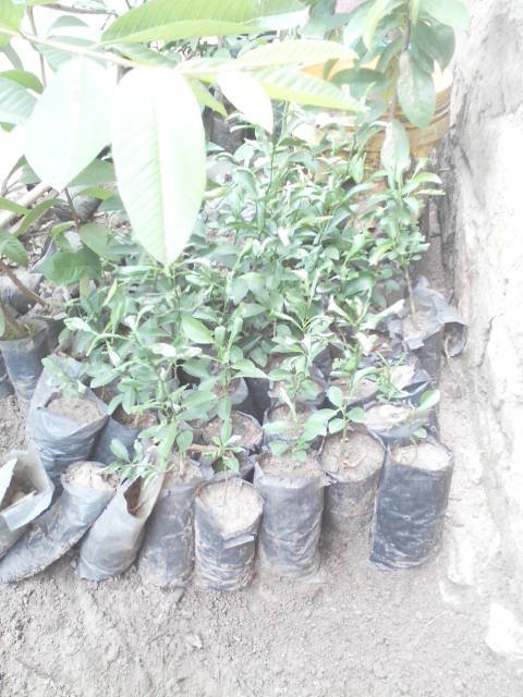 WhatsApp Image 2024-04-25 at 12.56.42_edfef323